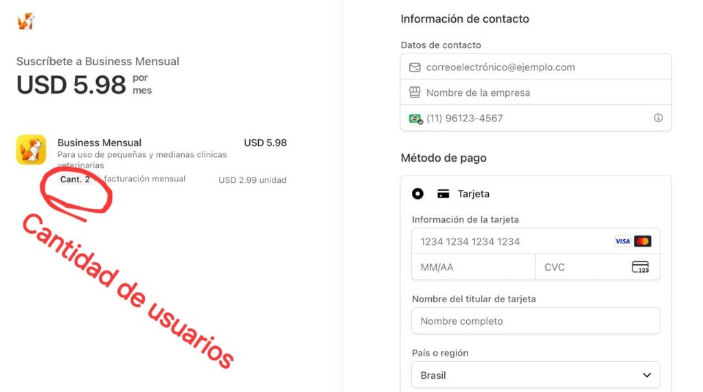 Stripe Checkout: en el resumen aparece Cant. junto al producto Business; desde ahí se cambia el número de usuarios.