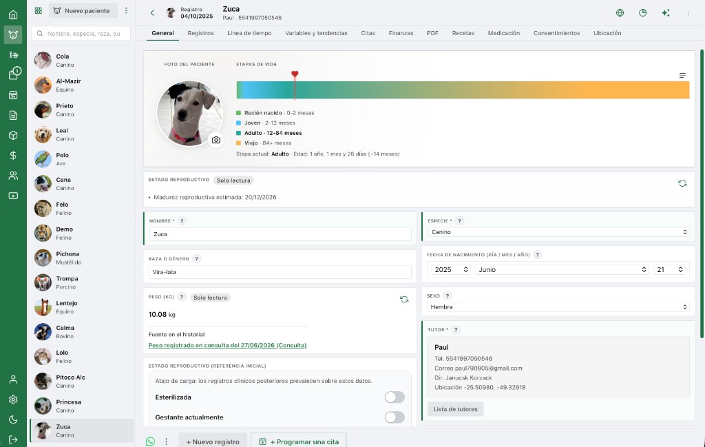 Portal web AniLovet: ficha del paciente