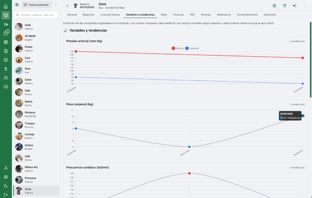 Portal web AniLovet: variables y tendencias
