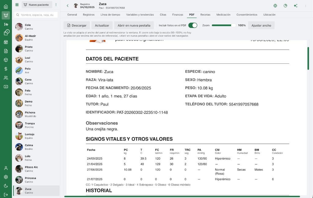 Portal web AniLovet: informe PDF