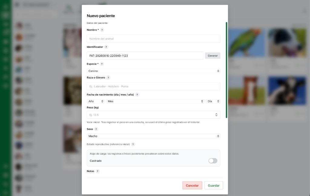 Portal web AniLovet: nuevo paciente
