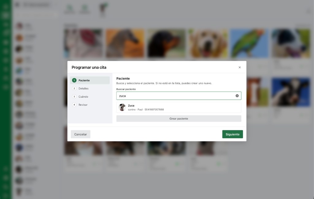 Portal web AniLovet: programar cita